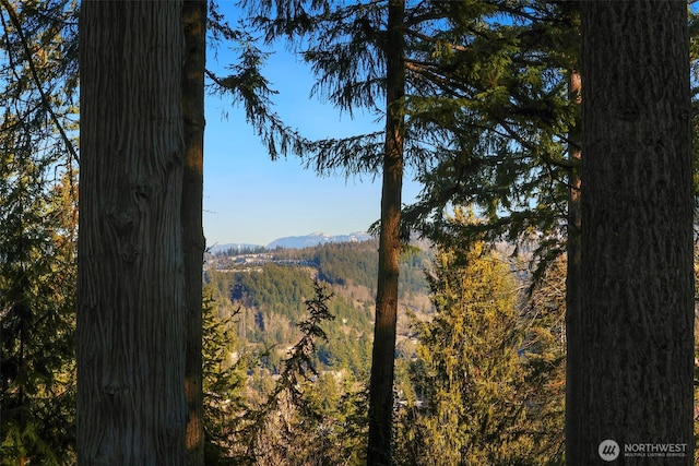 view of mountain feature with a forest view