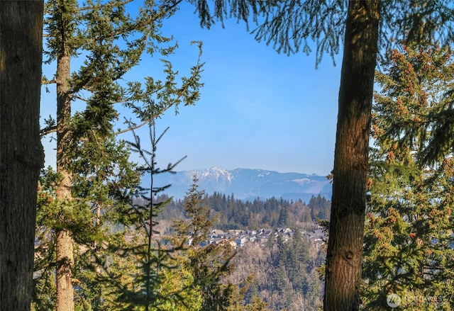 mountain view with a wooded view