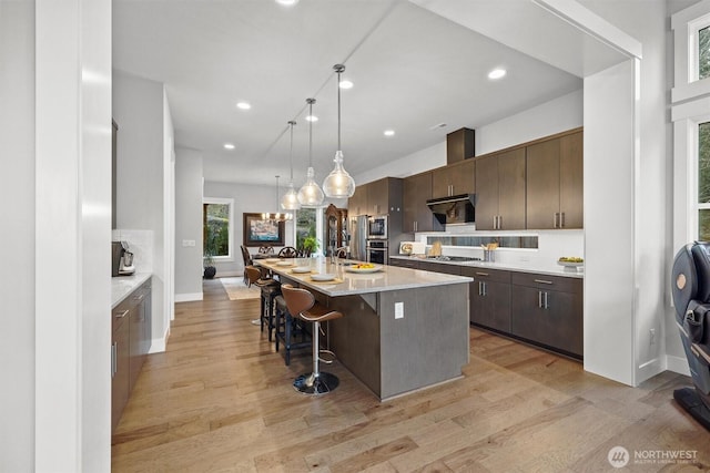 kitchen with tasteful backsplash, light wood finished floors, range hood, and stainless steel appliances