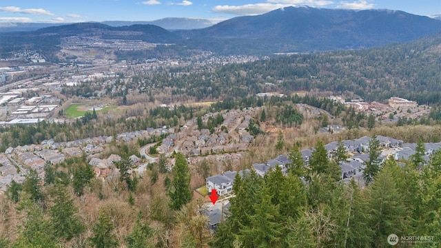 bird's eye view featuring a forest view and a mountain view