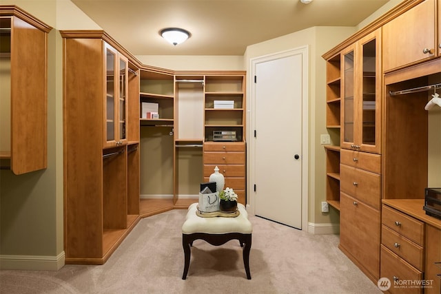 walk in closet with light carpet