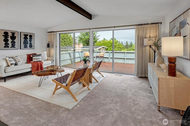 living room featuring carpet