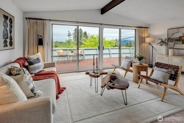 carpeted living area featuring a textured ceiling