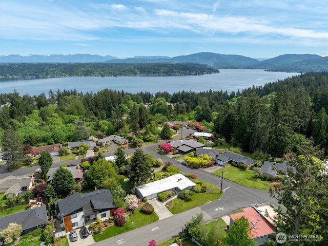 bird's eye view of a forest and a water and mountain view
