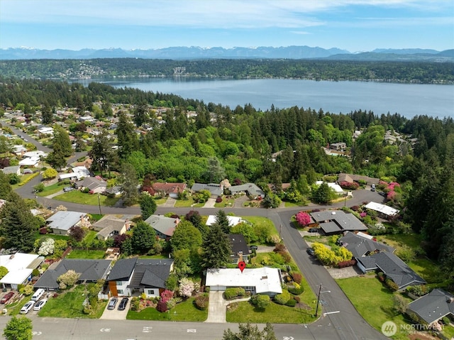aerial view of residential area with a water and mountain view and a forest