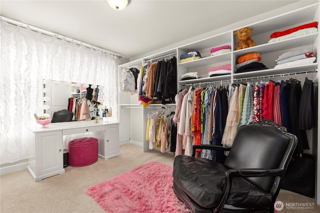 spacious closet with carpet