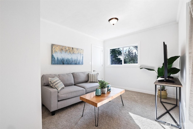 living area with carpet, ornamental molding, and baseboards