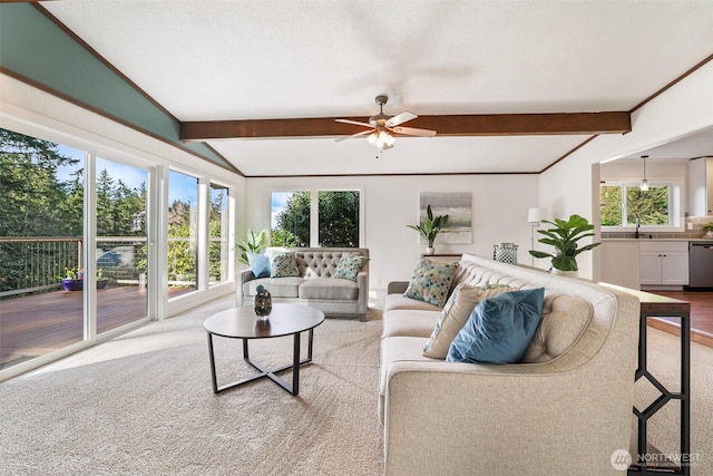 carpeted living area featuring lofted ceiling with beams, a healthy amount of sunlight, a sink, and a ceiling fan