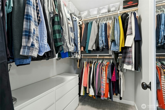 view of walk in closet