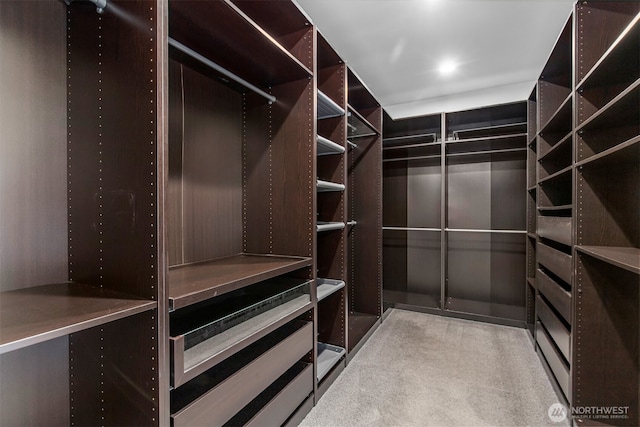 spacious closet with carpet flooring