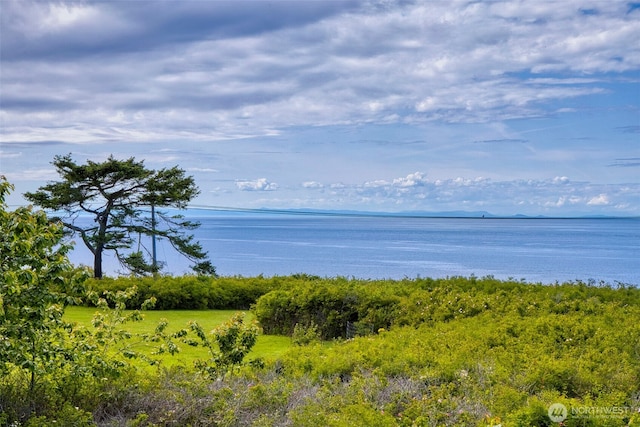 1939 49th St, Port Townsend, WA 98368 - water view
