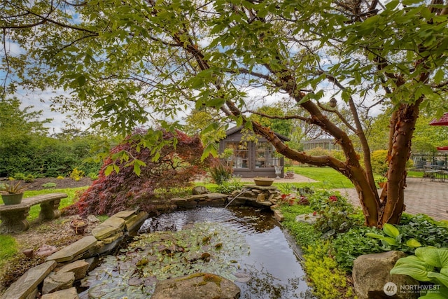 1939 49th St, Port Townsend, WA 98368 - view of yard featuring a garden pond