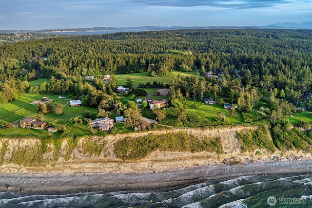 1939 49th St, Port Townsend, WA 98368 - aerial view of property's location with a heavily wooded area