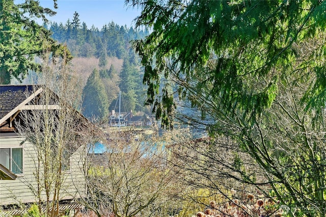 view of water feature featuring a wooded view