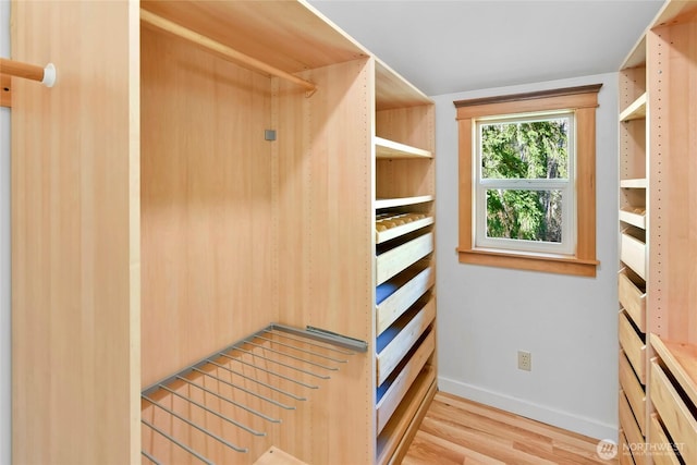 spacious closet featuring wood finished floors