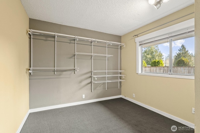 interior space featuring carpet floors