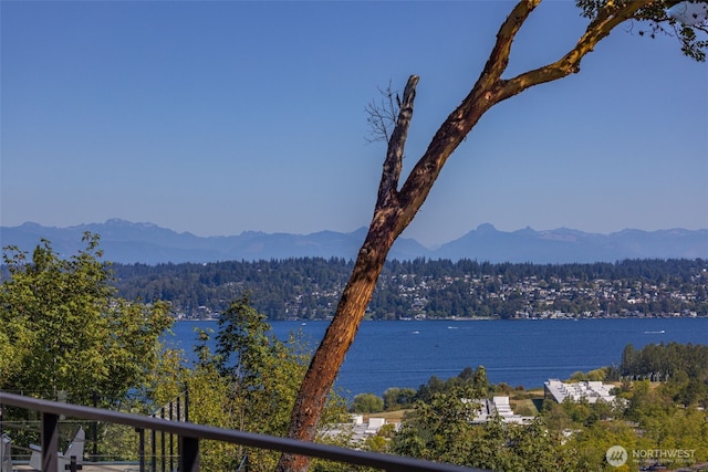 view of water feature with a mountain view and a view of trees