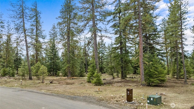 15 Wanawish Loop, Cle Elum, WA 98922