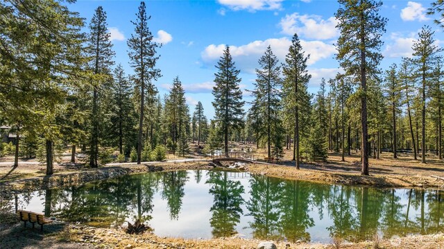 15 Wanawish Loop, Cle Elum, WA 98922