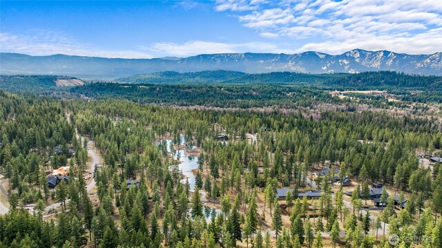 15 Wanawish Loop, Cle Elum, WA 98922