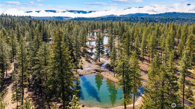 15 Wanawish Loop, Cle Elum, WA 98922