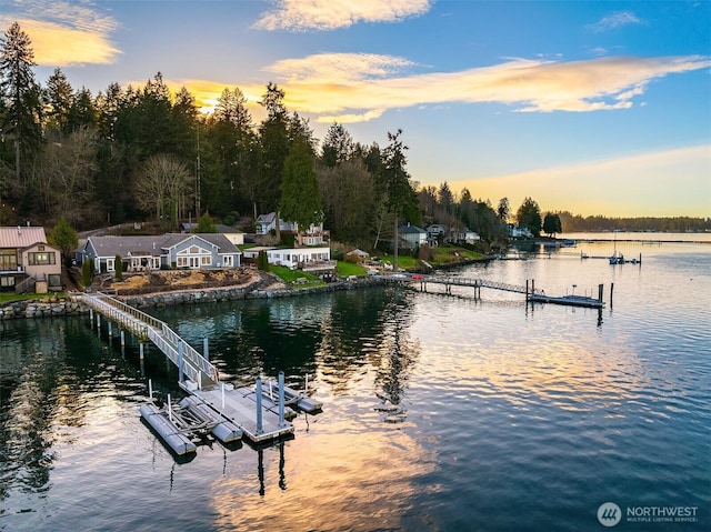 dock area with a water view