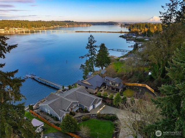 aerial view featuring a water view and a forest view