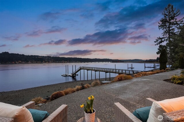 dock area with a water view