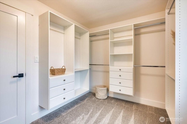 walk in closet featuring carpet flooring