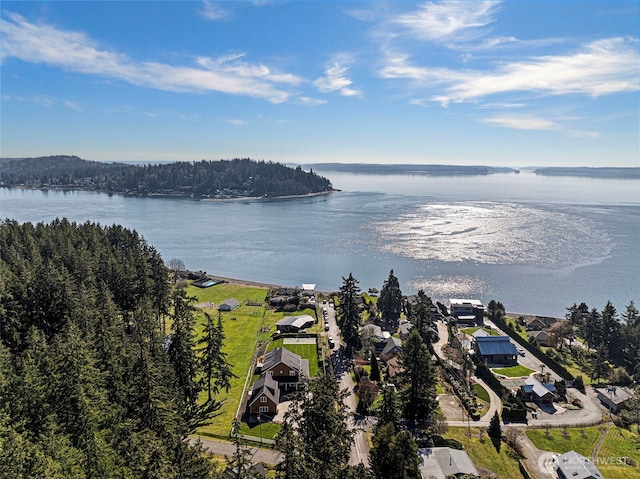 3220 Ray Nash Dr NW, Gig Harbor, WA 98335 - photo 39