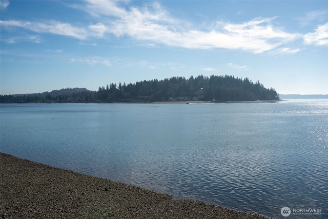3220 Ray Nash Dr NW, Gig Harbor, WA 98335 - photo 36
