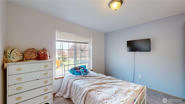 bedroom with carpet flooring