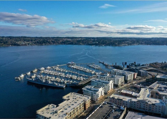 birds eye view of property with a water view