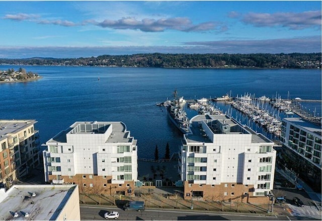 drone / aerial view with a water view