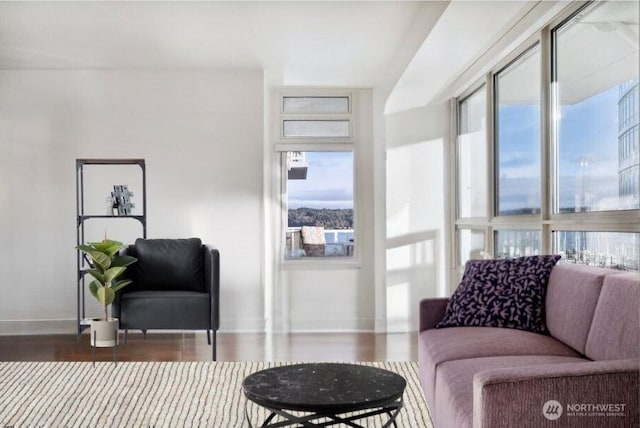 living area featuring wood finished floors, a healthy amount of sunlight, and baseboards