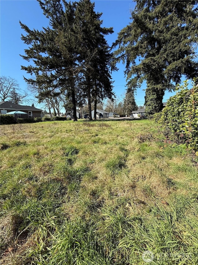 14433 Union Ave SW, Lakewood, WA 98498 - photo 4