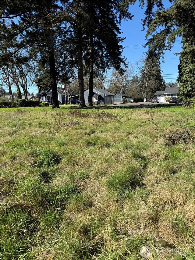 14433 Union Ave SW, Lakewood, WA 98498 - photo 5