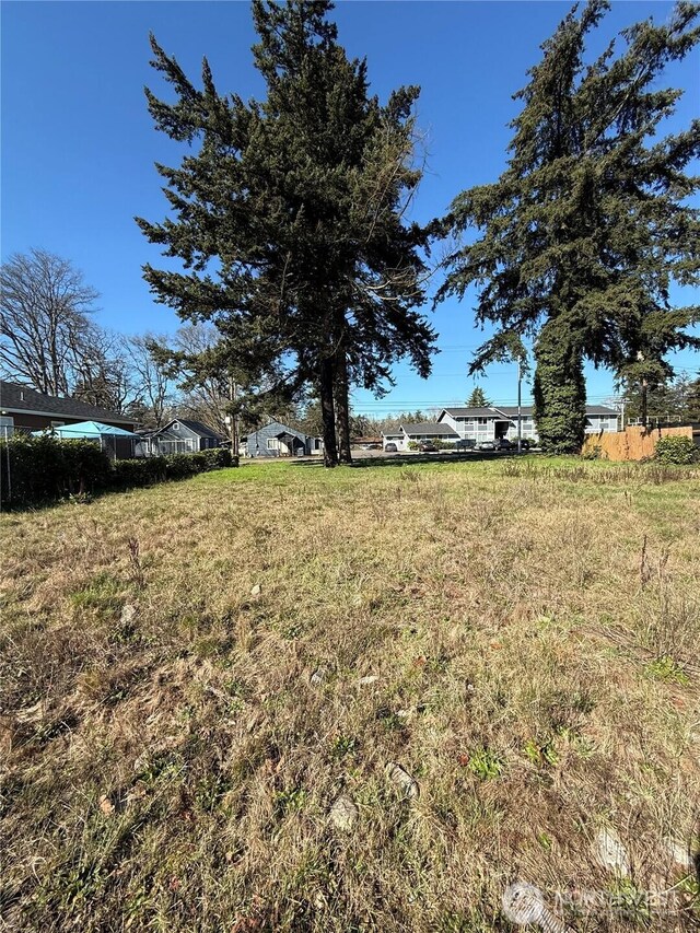14433 Union Ave SW, Lakewood, WA 98498 - photo 6