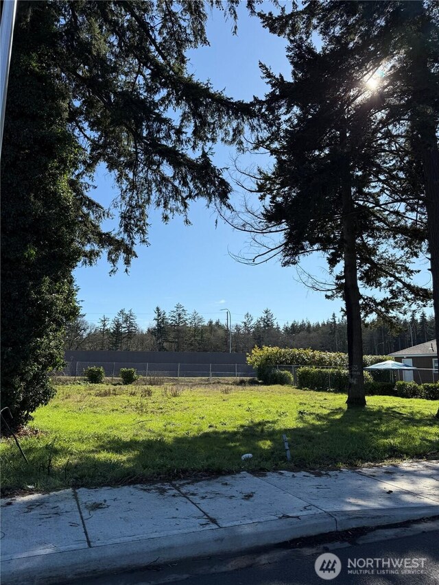 14433 Union Ave SW, Lakewood, WA 98498 - photo 12