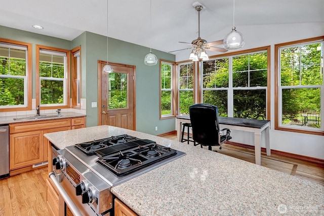 kitchen featuring stainless steel appliances, a healthy amount of sunlight, a sink, and light wood finished floors