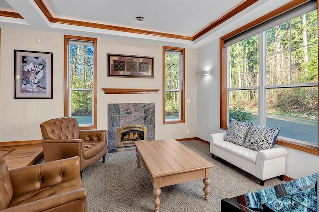 living area featuring a fireplace, baseboards, and a raised ceiling