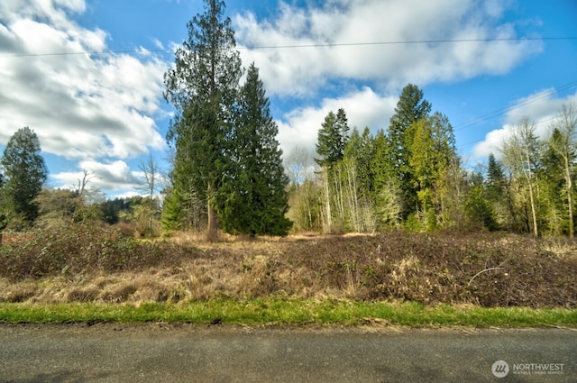 20217 Whitefish Ln SE, Tenino WA, 98589 land for sale