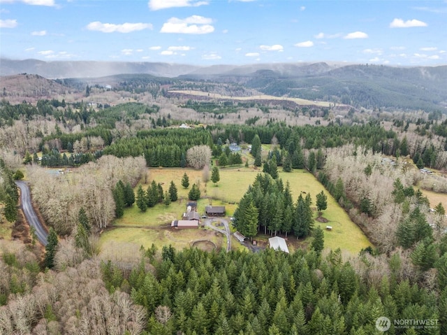 bird's eye view with a mountain view and a view of trees