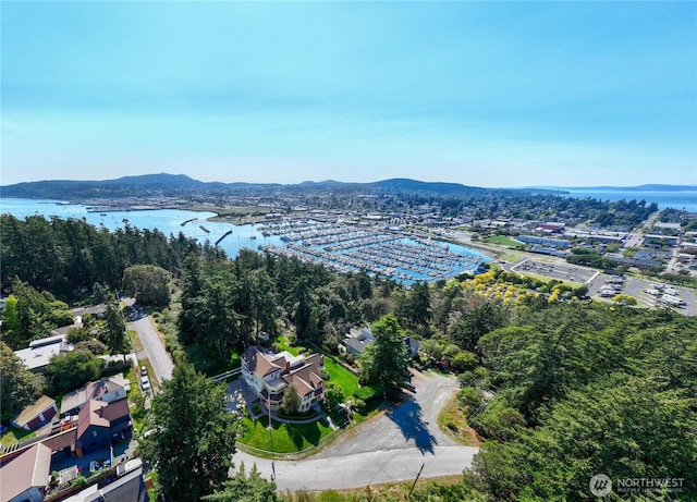 drone / aerial view with a water and mountain view