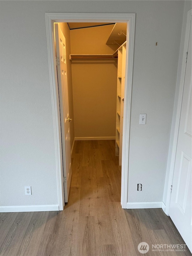 walk in closet featuring wood finished floors