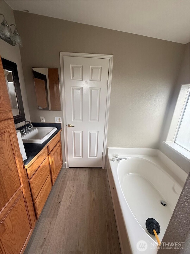 full bathroom featuring a bath, vanity, and wood finished floors