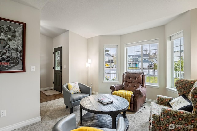 living area with baseboards and carpet flooring