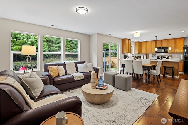 living room with dark wood-style flooring