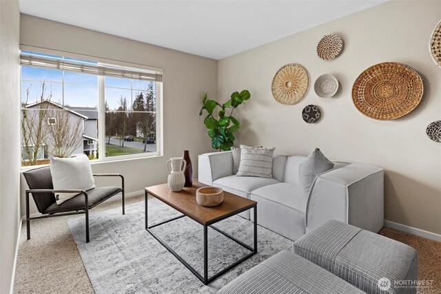 living area featuring carpet flooring and baseboards