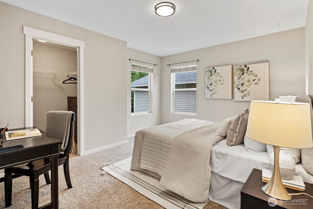 carpeted bedroom with a spacious closet, baseboards, and a closet